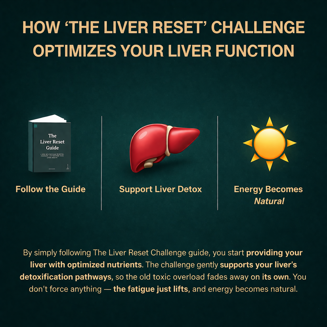 The Liver Reset Blueprint       21-Day System for Energy, Hormones & Vitality